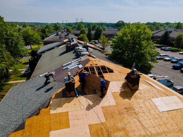 Best Storm Damage Roof Repair  in Riverside, CT